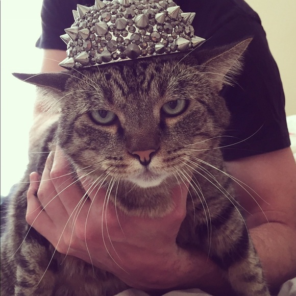 Meet your Posher, Lindsey - Picture 1 of 1